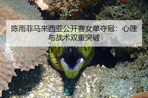 陈雨菲马来西亚公开赛女单夺冠：心理与战术双重突破