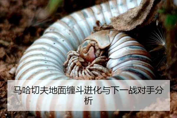 ma-ha-qie-fu-di-mian-chan-dou-jin-hua-yu-xia-yi-zhan-dui-shou-fen-xi-2-113.jpg