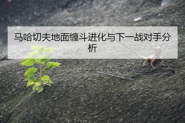 马哈切夫地面缠斗进化与下一战对手分析