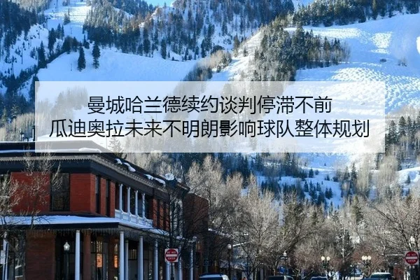 man-cheng-ha-lan-de-xu-yue-tan-pan-ting-zhi-bu-qian-gua-di-ao-la-wei-lai-bu-ming-lang-ying-xiang-qiu-dui-zheng-ti-gui-2-881.jpg