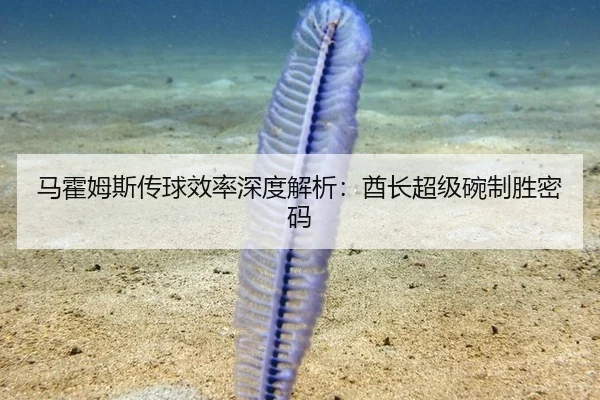 马霍姆斯传球效率深度解析：酋长超级碗制胜密码