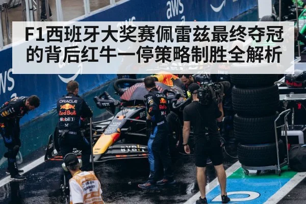 F1 pit stop tire change