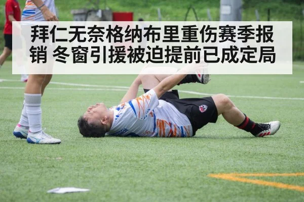 拜仁无奈格纳布里重伤赛季报销 冬窗引援被迫提前已成定局